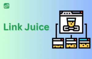 Link Juice