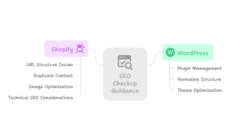 Platform-Specific SEO Checkup Guidance